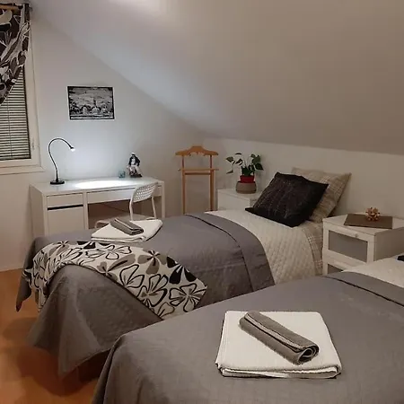 Cosy Loft Apartment *